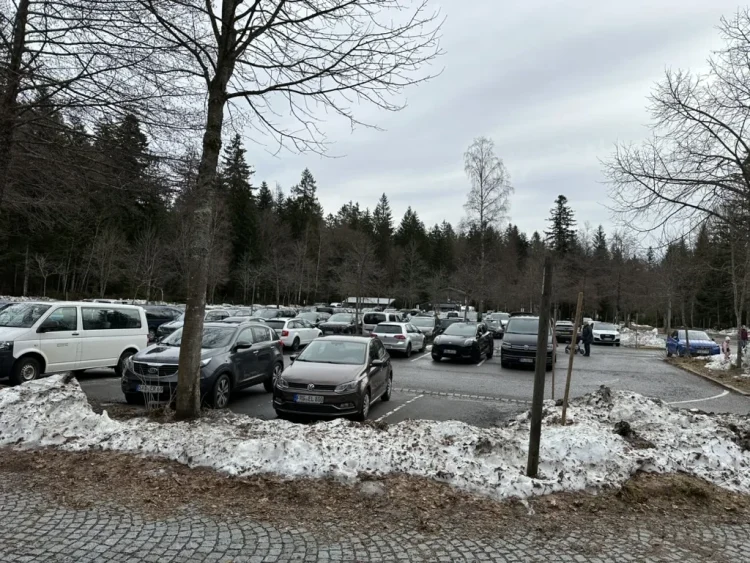 Tier-Freigelände