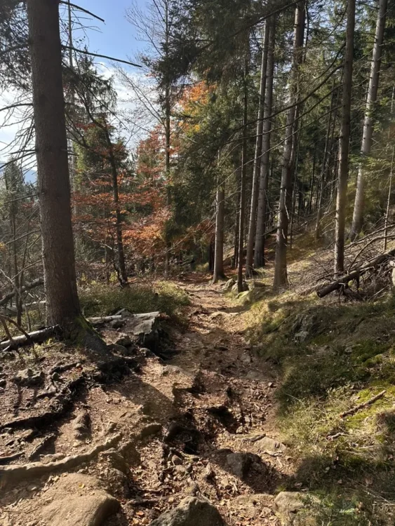 Silberberg Bodenmais