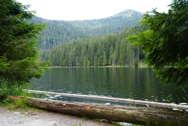 Großer Arbersee 