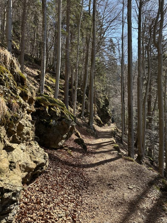 Wandern