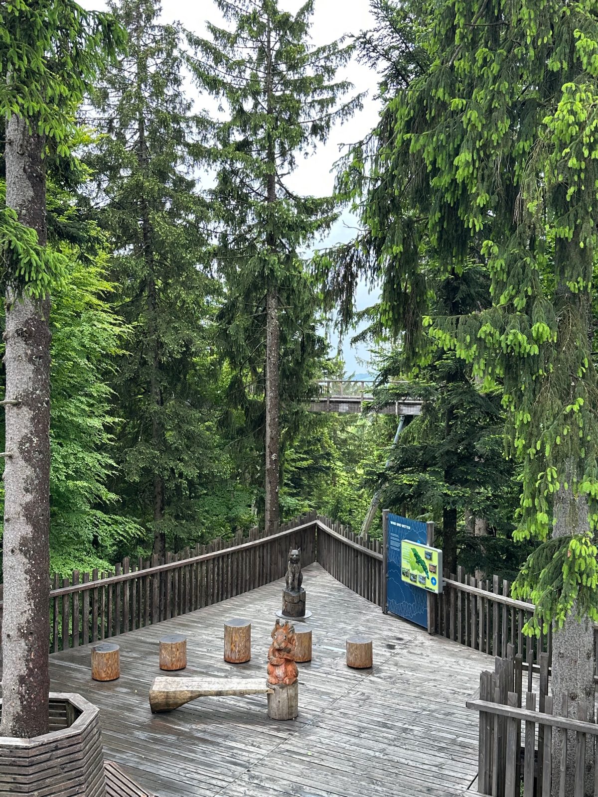 Baumwipfelpfad Neuschönau