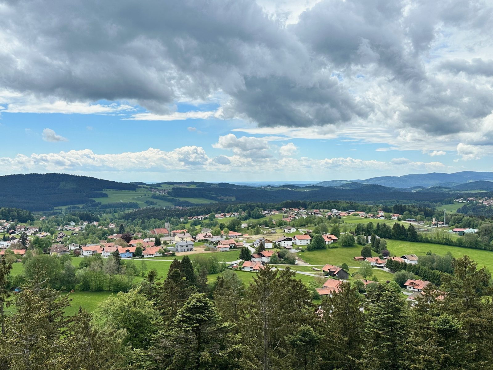 Baumwipfelpfad Neuschönau